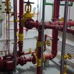 WhatsApp Image 2026-01-30 at 17.24.08