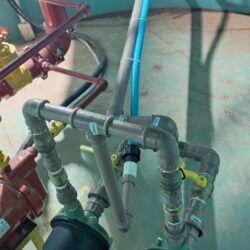 WhatsApp Image 2026-01-30 at 17.24.09 (1)