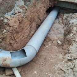 WhatsApp Image 2026-01-30 at 17.24.12