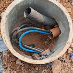 WhatsApp Image 2026-01-30 at 17.24.22