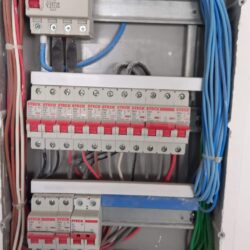 WhatsApp Image 2026-01-30 at 17.24.23